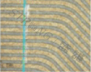 樣品4.gif 樣品4.gif