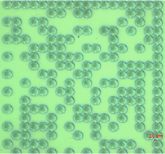 圖片3.png 圖片3.png